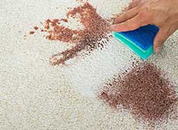 Stain Removal Services