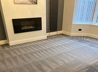 Professional Carpet Cleaner Service